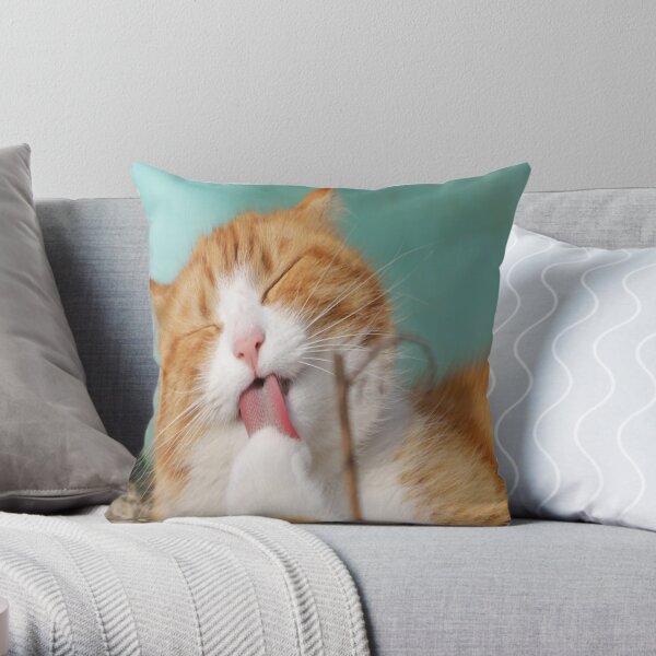 Beautiful cat sleeping in a great view Throw Pillow