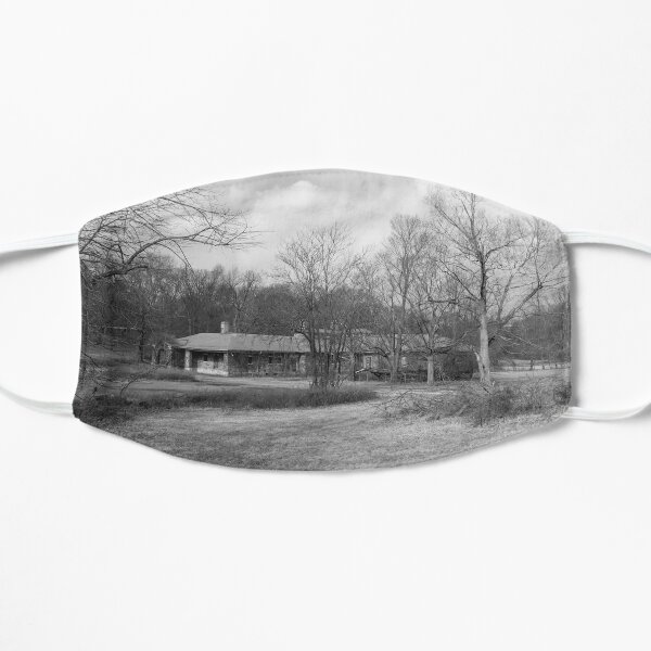 Letchworth 2 Mask