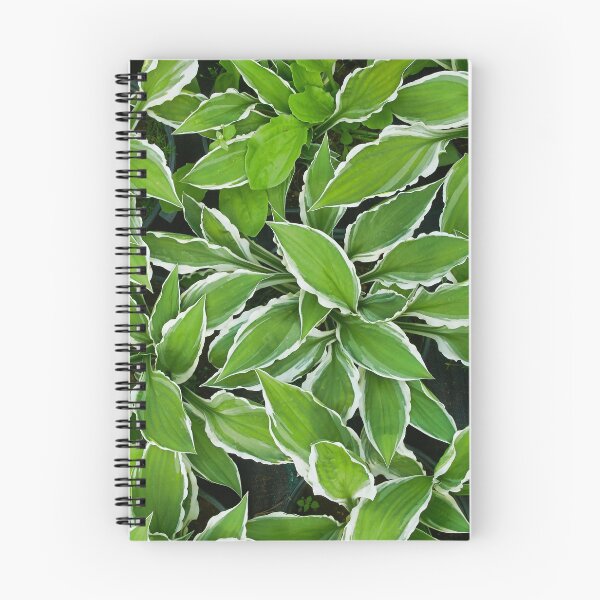 Item preview, Green garden designed and sold by M-project.