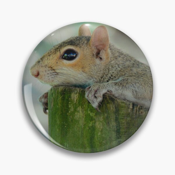 Item preview, Curious Squirrel designed and sold by Monika's Shop.