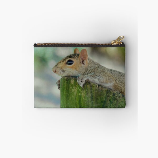 Item preview, Curious Squirrel designed and sold by Monika's Shop.