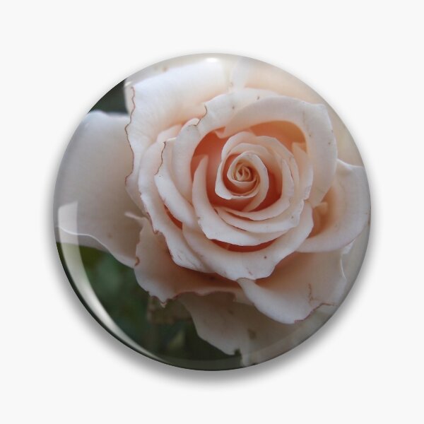 Item preview, Sicilian Rose from A Gardener's Notebook designed and sold by Douglas E. Welch Design and Photography.