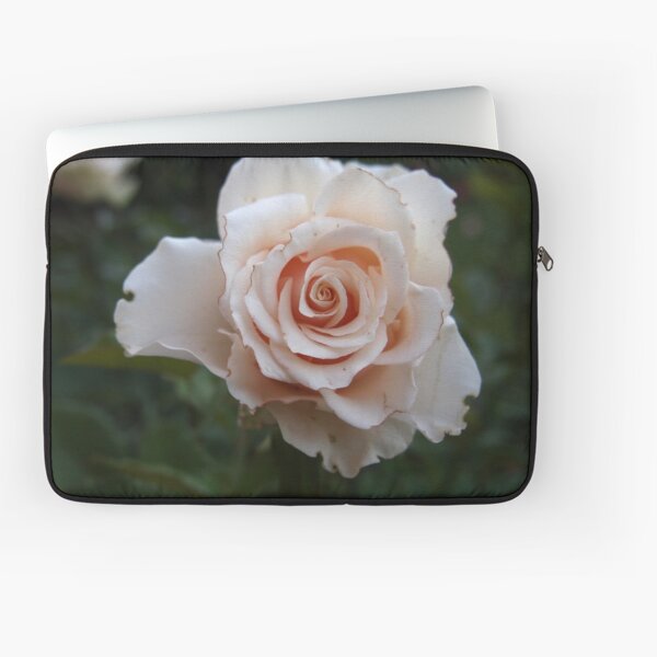 Sicilian Rose from A Gardener's Notebook Laptop Sleeve