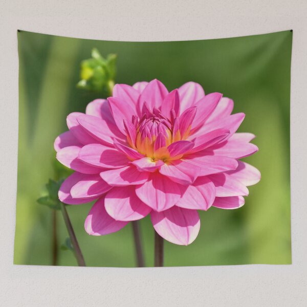 Item preview, Light pink dahlia designed and sold by IoanaHraball.