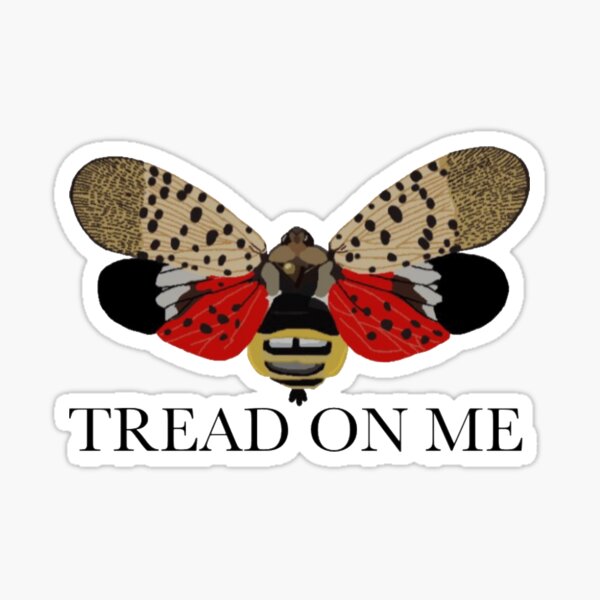 Spotted Lanternfly Sticker