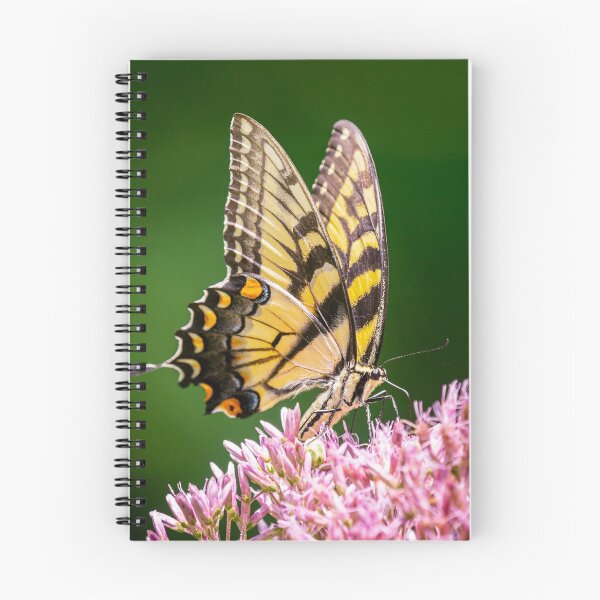 Item preview, Butterfly designed and sold by ArtbyLina.