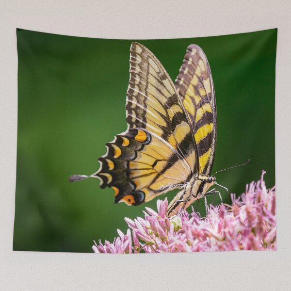 Item preview, Butterfly designed and sold by ArtbyLina.