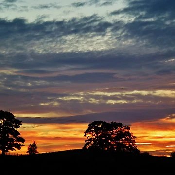 Artwork thumbnail, Sunset by Frugal Mr B