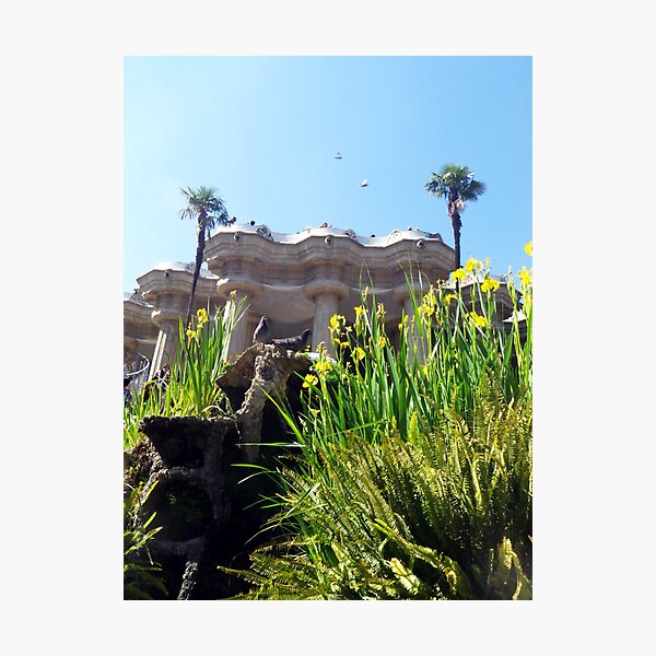 Wandbilder: Park Guell | Redbubble