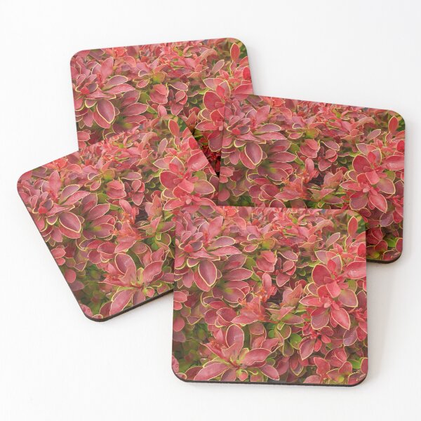 Item preview, Red plants designed and sold by M-project.