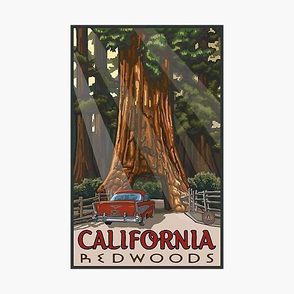 Item preview, California Redwoods Yosemite Travel designed and sold by digitalvintage.