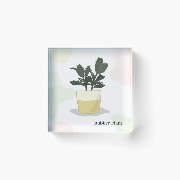 Item preview, Rubber Plant (Ficus Elastica) designed and sold by yanatibear.