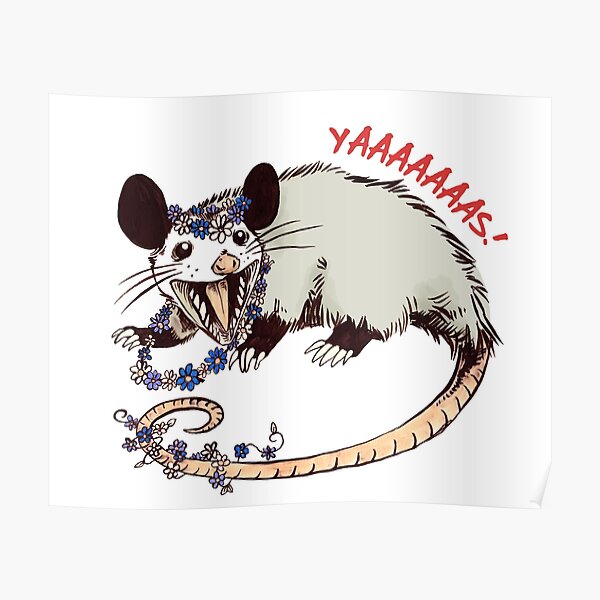 Daisy Chain Opossum Possum Yaaaas! Poster