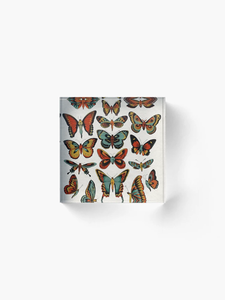 Butterfly554 - Hobbyist, Traditional Artist