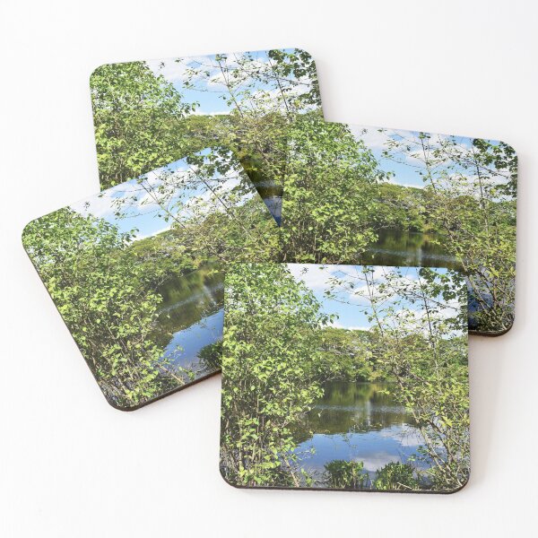 Item preview, Park Pond View through the trees designed and sold by eevee135.
