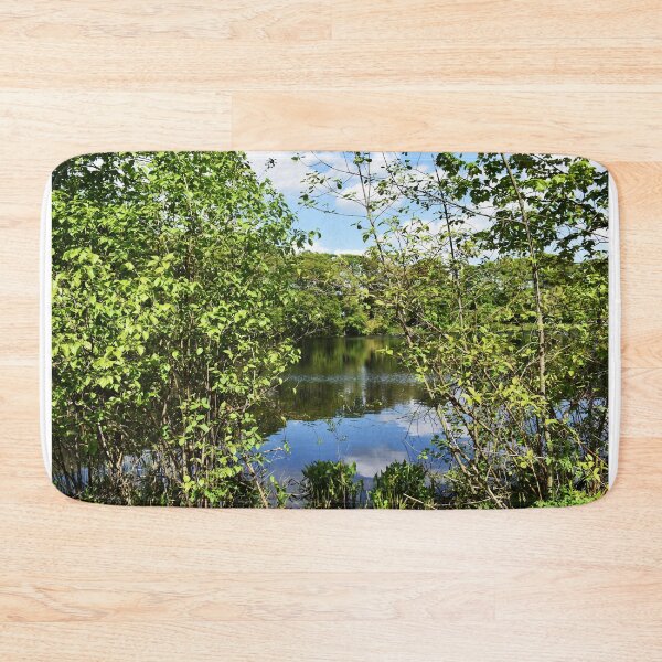 Item preview, Park Pond View through the trees designed and sold by eevee135.