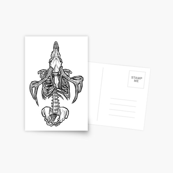 Item preview, Skeletal Assemblage designed and sold by CJOrazi.