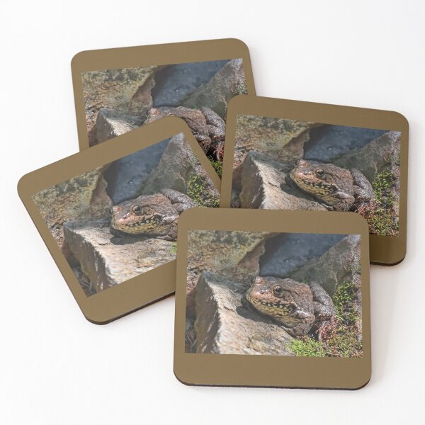 Item preview, Caught Between A Rock And A Hard Place  designed and sold by Lanis Rossi.