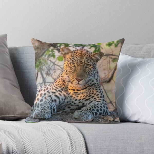Female leopard cat resting under a tree Throw Pillow