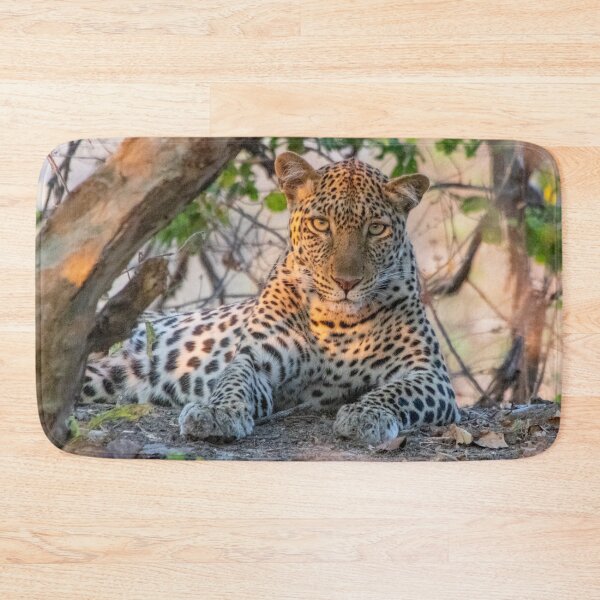 Item preview, Female leopard cat resting under a tree designed and sold by SafariByMarisa.