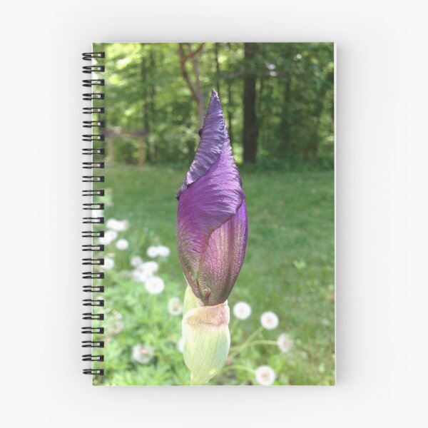 Item preview, Perfect Purple Iris Bud designed and sold by Ollivrosa.