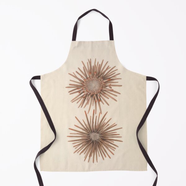 Item preview, Naturalist Sea Urchins designed and sold by BlueSpecsStudio.