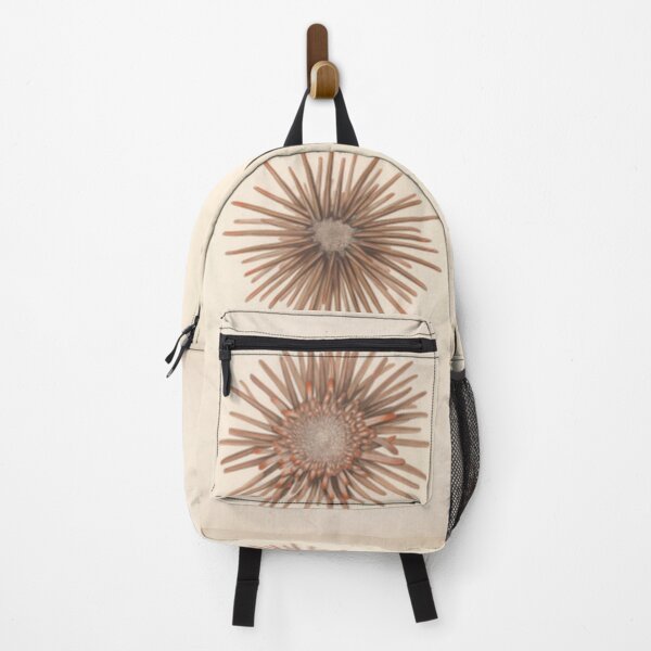 Item preview, Naturalist Sea Urchins designed and sold by BlueSpecsStudio.