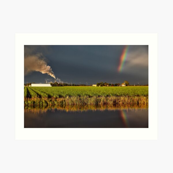 Jacobs Well Sunset Art Print