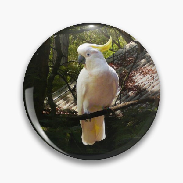 Item preview, Sulphur Crested Cockatoo, Warburton designed and sold by Roz McQuillan Fine Art & Photography.