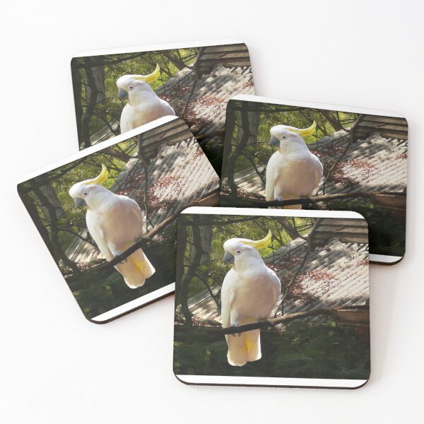 Item preview, Sulphur Crested Cockatoo, Warburton designed and sold by Roz McQuillan Fine Art & Photography.
