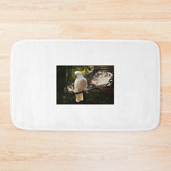 Item preview, Sulphur Crested Cockatoo, Warburton designed and sold by Roz McQuillan Fine Art & Photography.
