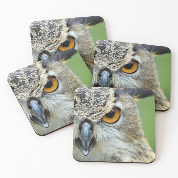 Item preview, Great Horned Owl Closeup designed and sold by RockCreek.