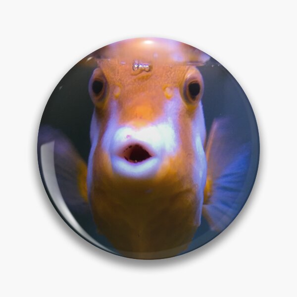 Item preview, Whitebar Boxfish designed and sold by buzzmarshall.