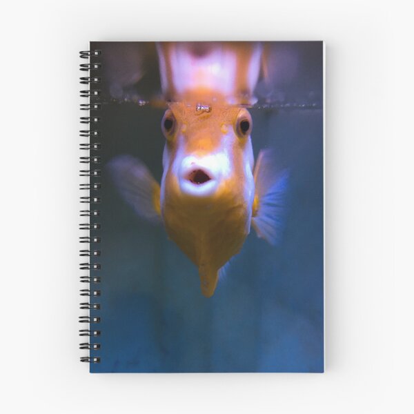 Item preview, Whitebar Boxfish designed and sold by buzzmarshall.