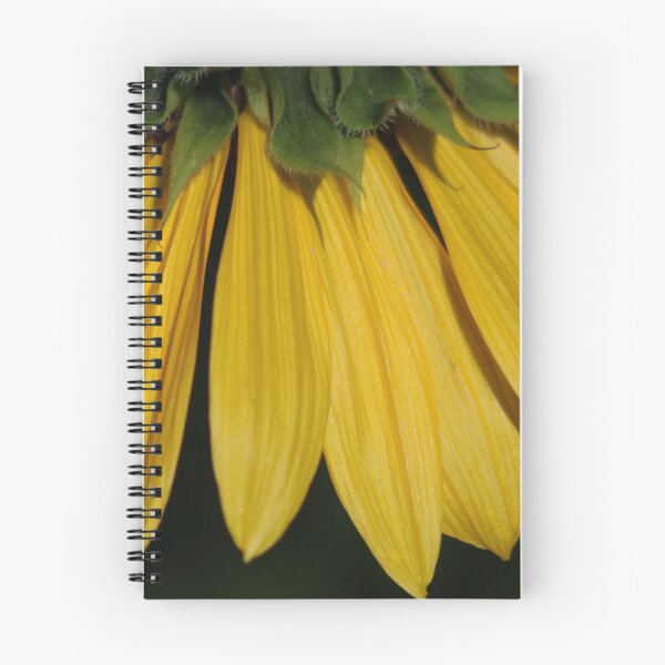 Item preview, Downward Sunflower designed and sold by HappyThoughts85.