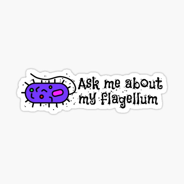Ask me about my flagellum Sticker