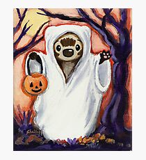 Haunted Forest Photographic Print