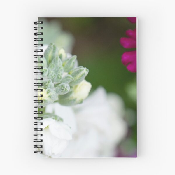 Item preview, Stock designed and sold by Allport Photography.