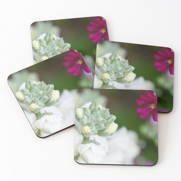 Item preview, Stock designed and sold by Allport Photography.