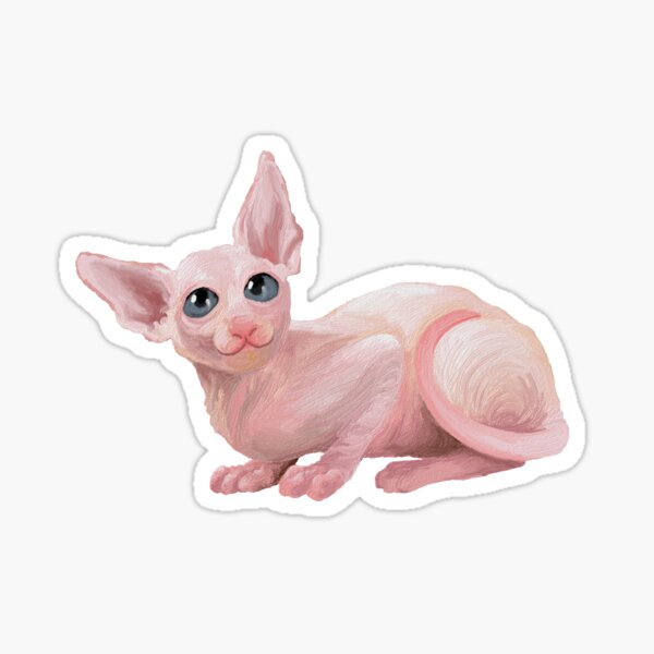 The hairless cat Sticker