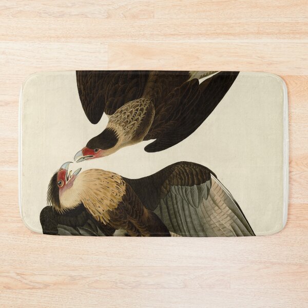 Item preview, 161 Brasilian Caracara Eagle designed and sold by Bird-Lore.
