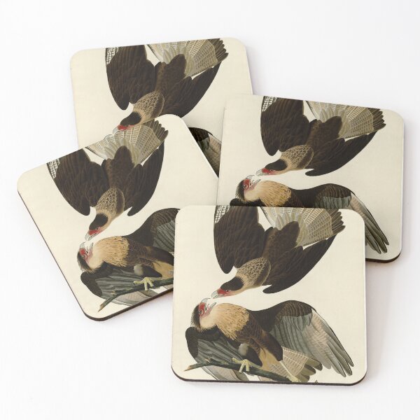 Item preview, 161 Brasilian Caracara Eagle designed and sold by Bird-Lore.