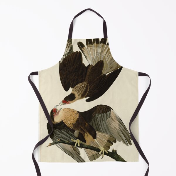 Item preview, 161 Brasilian Caracara Eagle designed and sold by Bird-Lore.