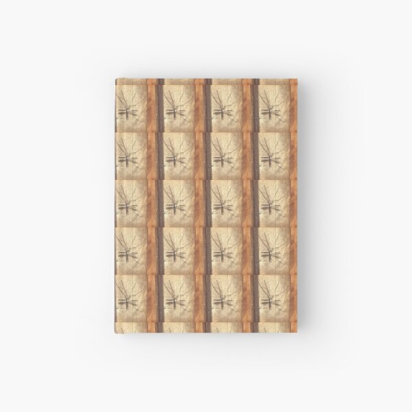Bug Lover Gift - Leggy Beauty - Crane Fly - Entomologist Birthday Hardcover Journal