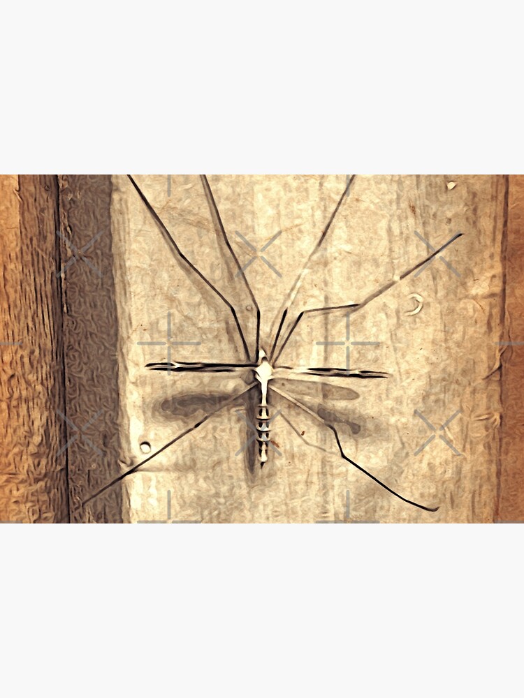 Bug Lover Gift - Leggy Beauty - Crane Fly - Entomologist Birthday by OneDayArt