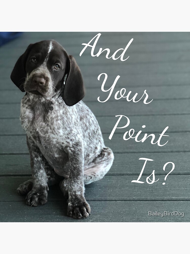 Thumbnail 3 of 3, Sticker, And Your Point Is? GSP Puppy designed and sold by BaileyBirdDog.