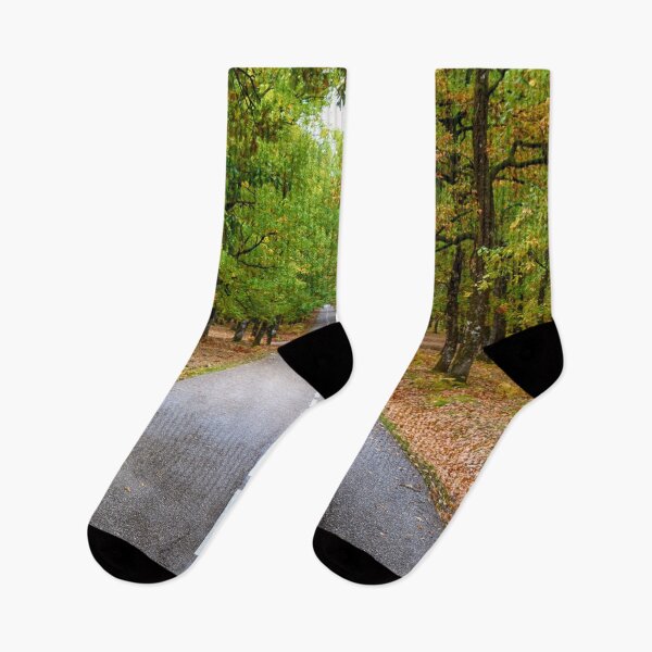 Item preview, La carretera designed and sold by Skywalker115959.