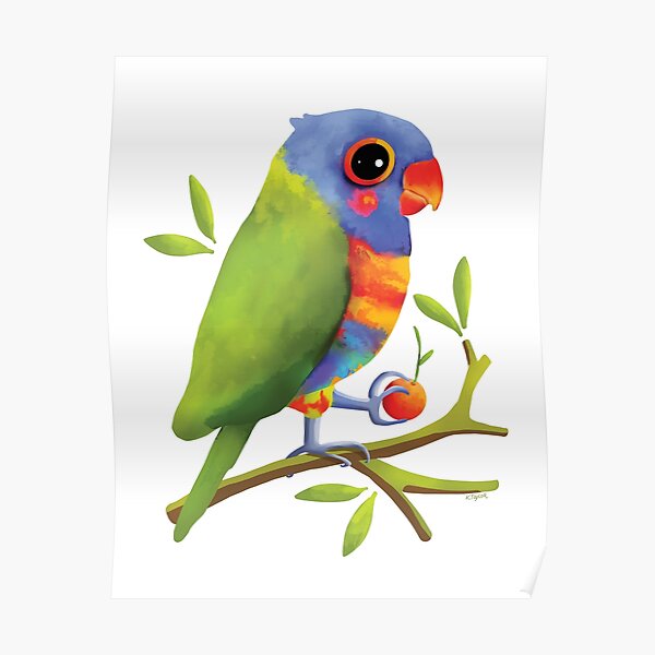 Rainbow Lorikeet Poster