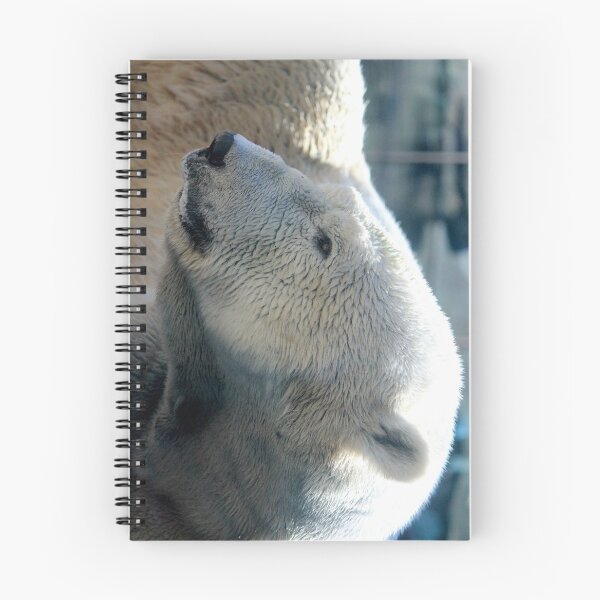 Item preview, Polar Bear designed and sold by Shannon Bryan.