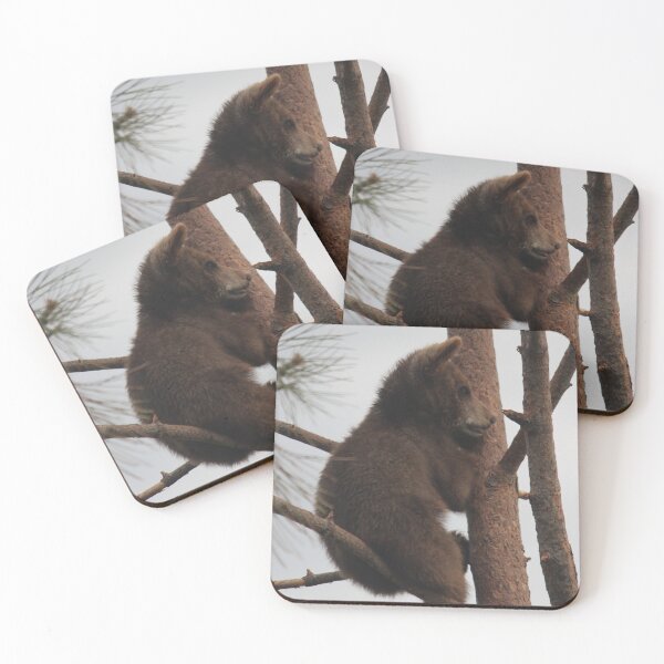Item preview, Little Bear Cub designed and sold by Shannon Bryan.